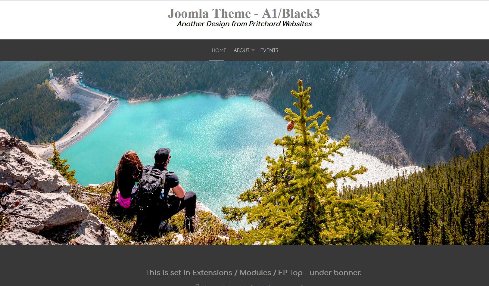 One of Our Customized Website Templates