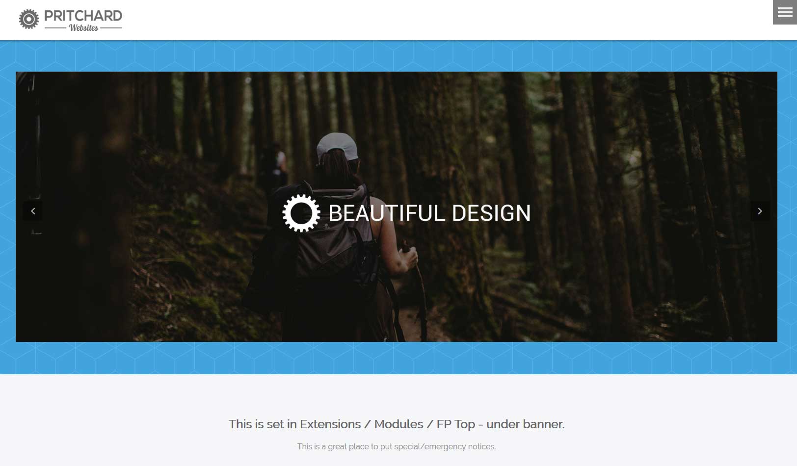 One of Our Customized Website Templates